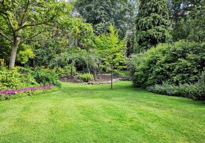 Optimiser l'expérience du jardin à Cailly-sur-Eure